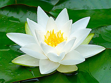 关于凯发k8国际